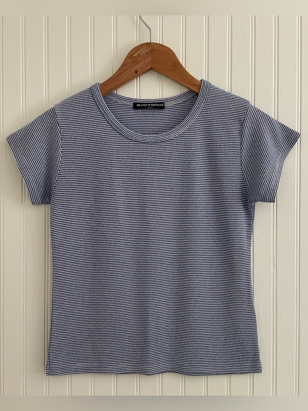 Brandy Melville Stripe Crop T-Shirt